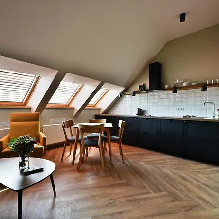 New Modern Old Town Studio U2308 Apartment Vilnius